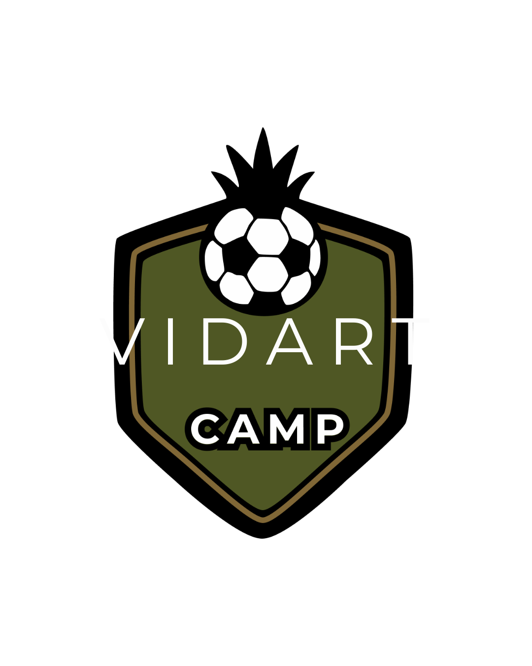 Vidartcamp